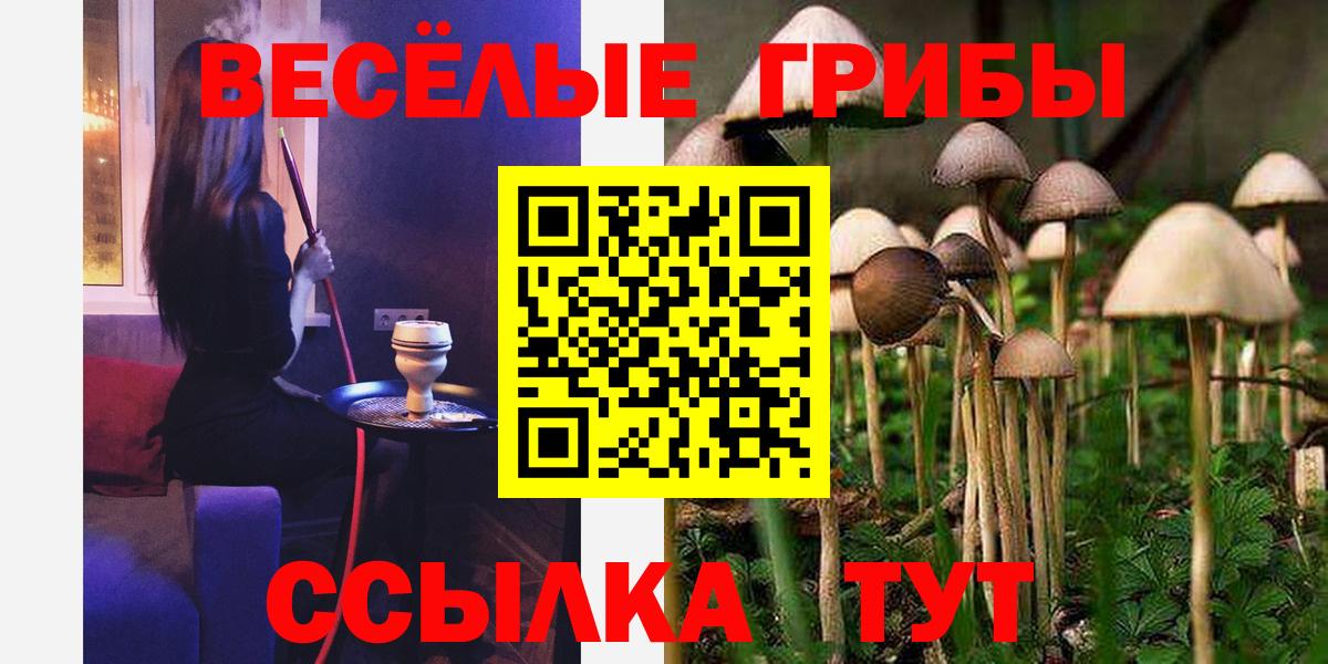 Галлюциногенные грибы Magic Shrooms Горно-Алтайск