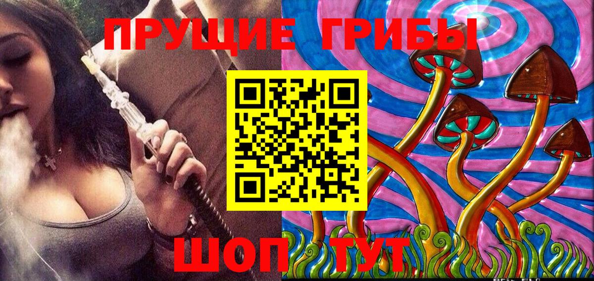 Галлюциногенные грибы GOLDEN TEACHER  Вход с VPN  Горно-Алтайск  Галлюциногенные грибы ЛСД 